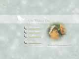 DVD-menus for Adobe Encore & Pinnacle Studio, ������, �������, �����, ��������