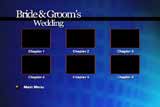 50 ��������� ���� DVD "Bride & Groom�s Wedding", ������, �������, �����, ��������