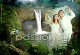   DVD Classic Wedding (), , , , 